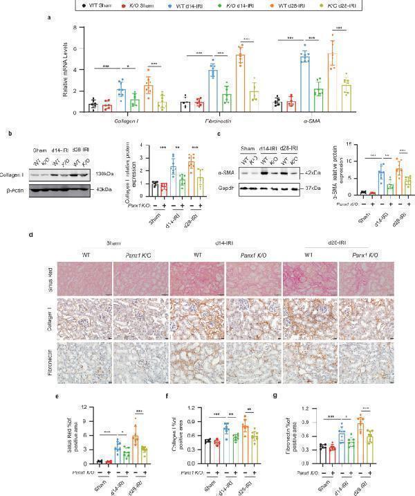 pa2140 1 41467_2025_63152_fig9_html