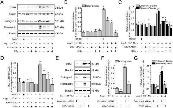 pa2140 1 41598_2017_8334_fig9_html