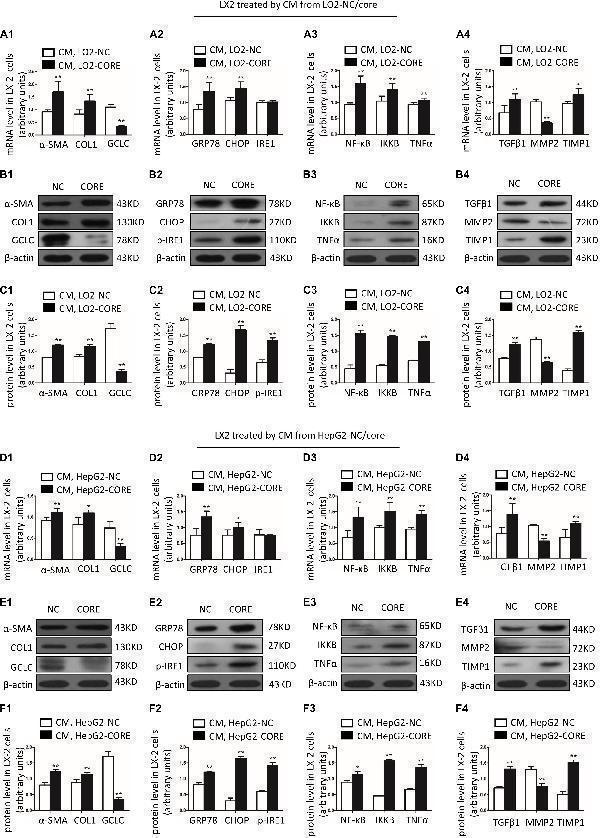 pa2140 1 fmolb 07 00199 g003