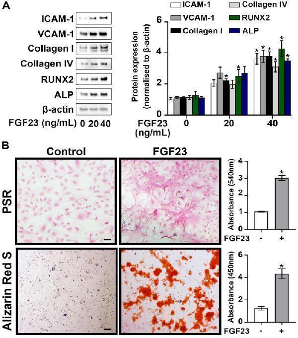 pa2140 2 ijbsv20p3412g002