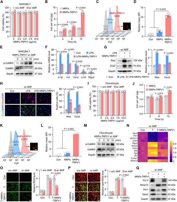 pa2141 1 research