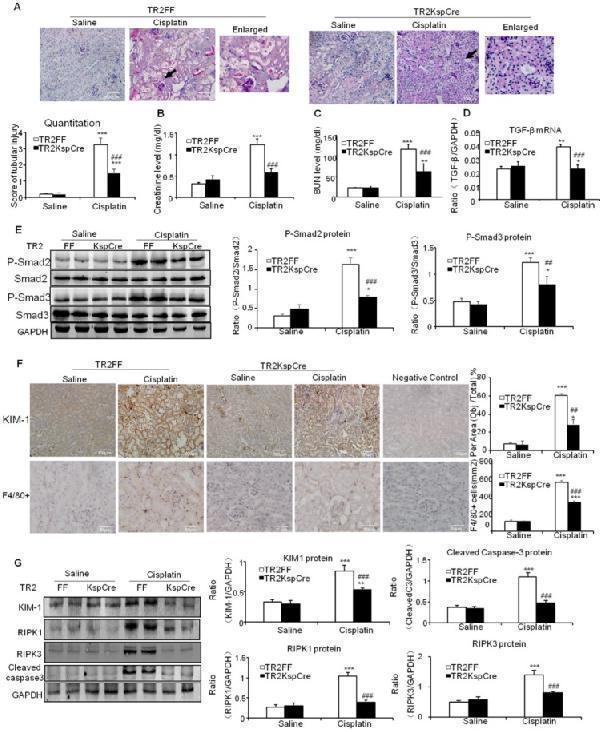 pa2242 thnov09p8277g002