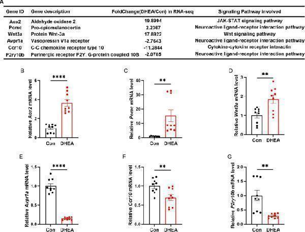 pa2248 10020_2025_1272_fig3_html