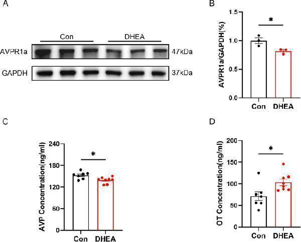 pa2248 10020_2025_1272_fig4_html