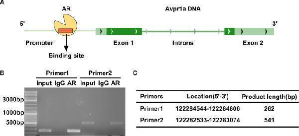 pa2248 10020_2025_1272_fig5_html