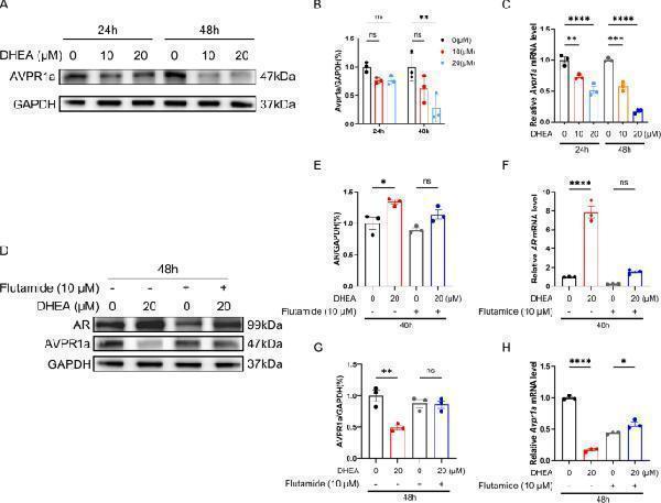 pa2248 10020_2025_1272_fig6_html