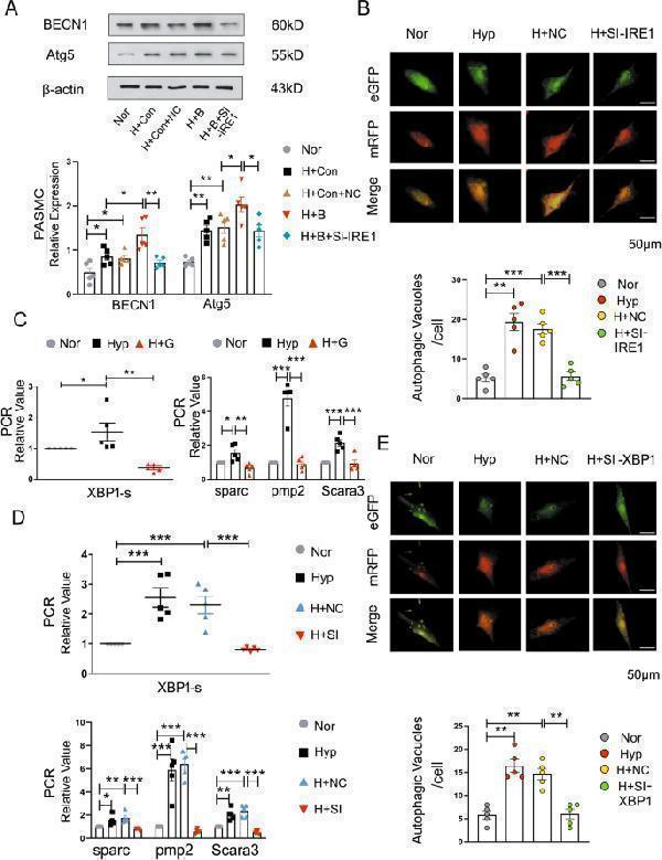 pa2260 41419_2020_2930_fig4_html