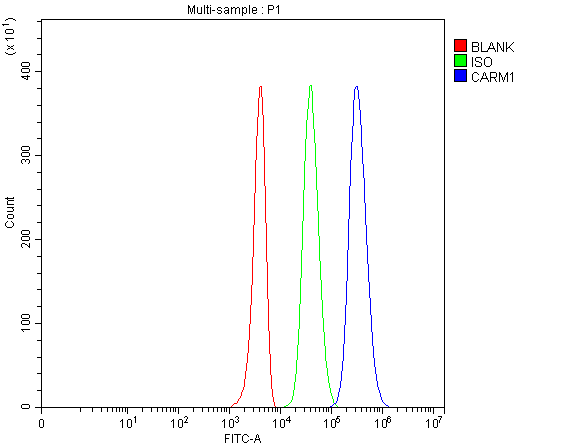  Flow Cytometry analysis of 293T cells using anti-PRMT4/CARM1 antibody (PA2263)