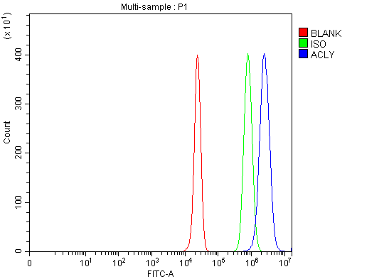 Figure 10. Flow Cytometry analysis of HepG2 cells using anti-ACLY antibody (PB10024). Overlay histogram showing HepG2 cells stained with PB10024 (Blue line). To facilitate intracellular staining, cells were fixed with 4% paraformaldehyde and permeabilized with permeabilization buffer. The cells were blocked with 10% normal goat serum. And then incubated with rabbit anti-ACLY Antibody (PB10024, 1 microg/1x106 cells) for 30 min at 20°C. DyLight®488 conjugated goat anti-rabbit IgG (BA1127, 5-10 microg/1x106 cells) was used as secondary antibody for 30 minutes at 20°C. Isotype control antibody (Green line) was rabbit IgG (1 microg/1x106) used under the same conditions. Unlabelled sample without incubation with primary antibody and secondary antibody (Red line) was used as a blank control.