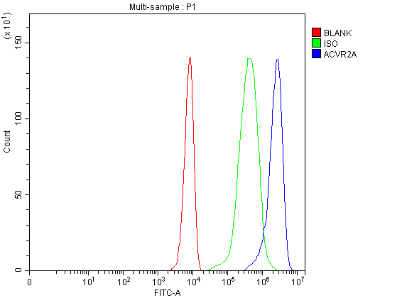 pb10027 acvr2a primary antibodies fcm testing 1