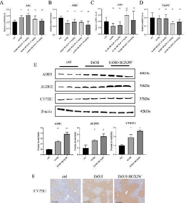 pb10029 13020_2023_753_fig6_html