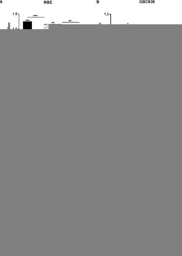 pb10036 fonc 11 677678 g006