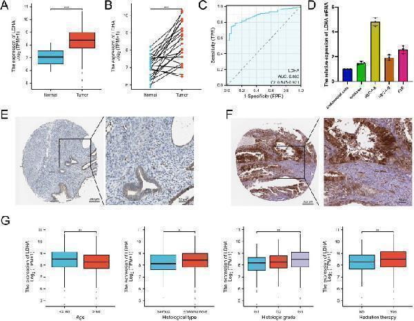 pb10075 fonc 14 1458344 g001