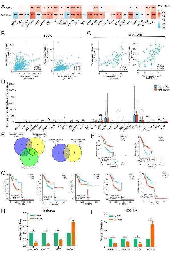 pb10075 fonc 14 1458344 g006