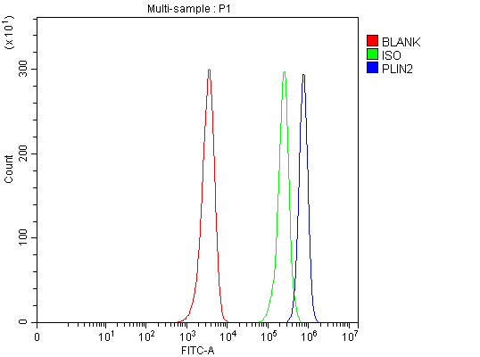 pb10083 plin2 primary antibodies fcm testing 1