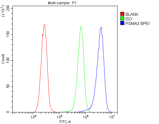 Figure 3. Flow Cytometry analysis of HeLa cells using anti-PSMA3 antibody (PB10089). Overlay histogram showing HeLa cells stained with PB10089 (Blue line). To facilitate intracellular staining, cells were fixed with 4% paraformaldehyde and permeabilized with permeabilization buffer. The cells were blocked with 10% normal goat serum. And then incubated with rabbit anti-PSMA3 Antibody (PB10089,1microg/1x106 cells) for 30 min at 20°C. DyLight®488 conjugated goat anti-rabbit IgG (BA1127, 5-10microg/1x106 cells) was used as secondary antibody for 30 minutes at 20°C. Isotype control antibody (Green line) was rabbit IgG (1microg/1x106) used under the same conditions. Unlabelled sample without incubation with primary antibody and secondary antibody (Red line) was used as a blank control.