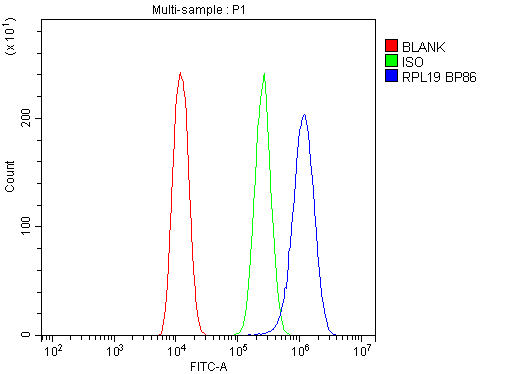 Figure 3. Flow Cytometry analysis of U20S cells using anti-RPL19 antibody (PB10092). Overlay histogram showing U20S cells stained with PB10092 (Blue line).The cells were blocked with 10% normal goat serum. And then incubated with rabbit anti-RPL19 Antibody (PB10092,1microg/1x106 cells) for 30 min at 20°C. DyLight®488 conjugated goat anti-rabbit IgG (BA1127, 5-10microg/1x106 cells) was used as secondary antibody for 30 minutes at 20°C. Isotype control antibody (Green line) was rabbit IgG (1microg/1x106) used under the same conditions. Unlabelled sample (Red line) was also used as a control.