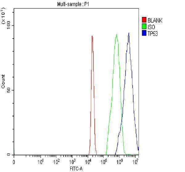 pb9008 p53 primary antibodies fcm testing 4