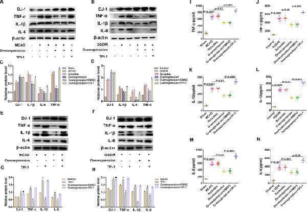 pb9025 12974_2020_1764_fig5_html