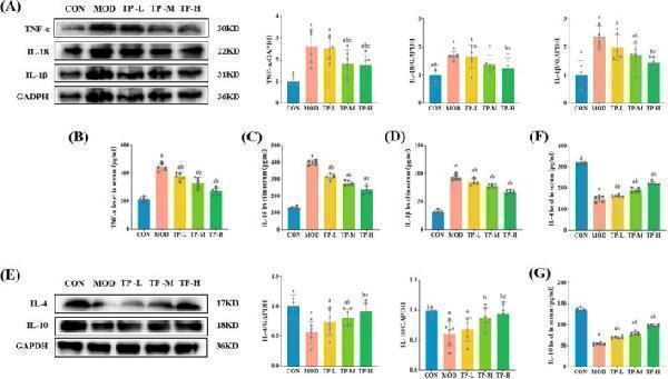 pb9025 fsn3 13 e70736 g010