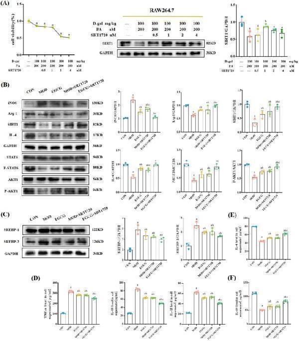 pb9025 fsn3 13 e70736 g011