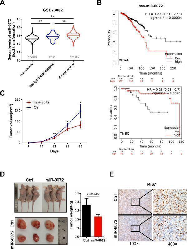 pb9026 13058_2024_1858_fig1_html