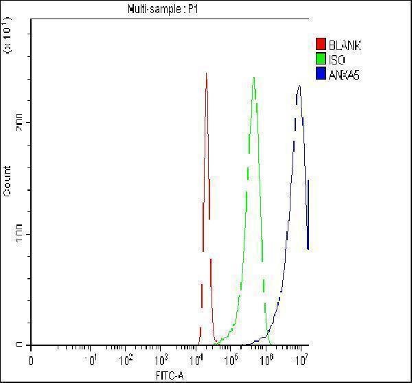 pb9044 anxa5 primary antibodies fcm testing 6