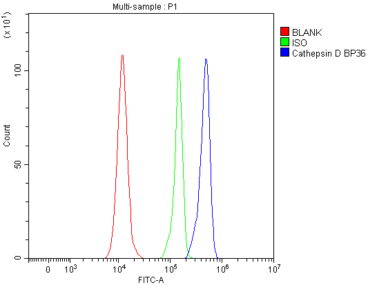 pb9048 ctsd primary antibodies fc testing 1