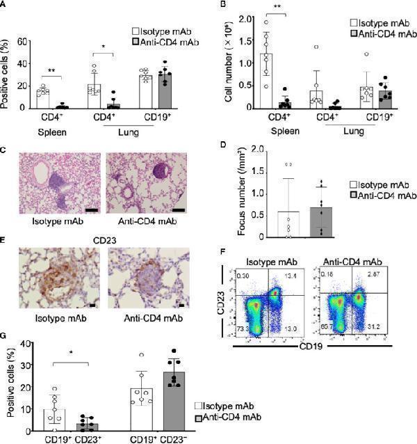 pb9051 fimmu 14 1217492 g006