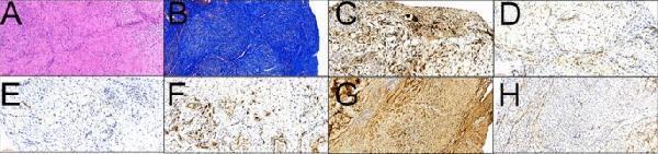 pb9062 41598_2023_49339_fig9_html