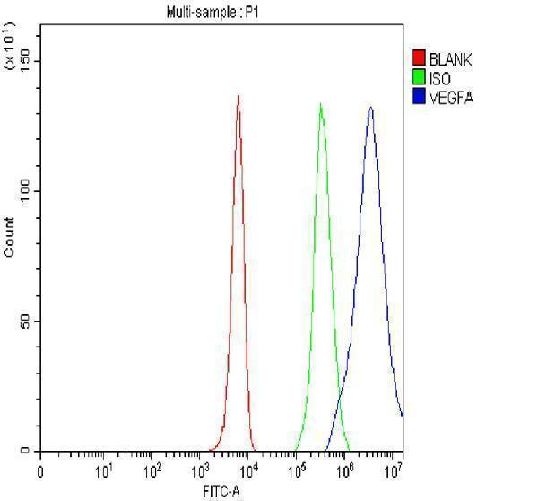 pb9071 vegfa primary antibodies fcm testing 1