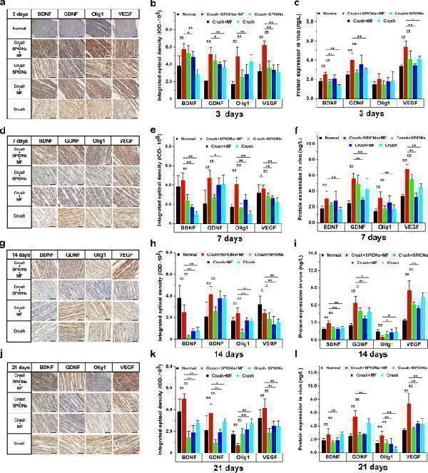 pb9075 12951_2022_1337_fig9_html