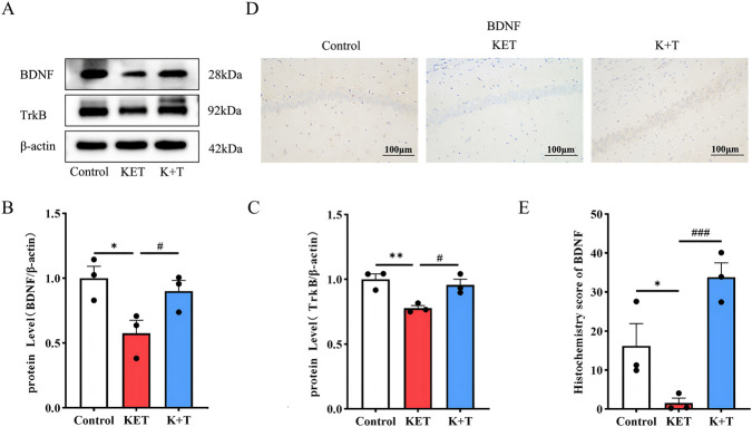 pb9075 publication fgene 17 1701742 g002