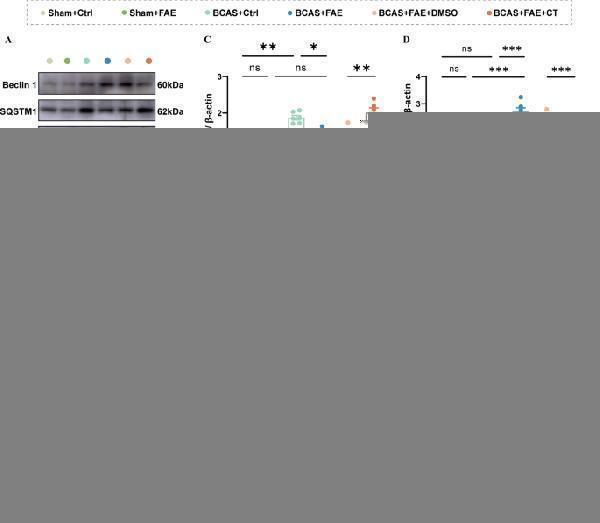 pb9076 12974_2025_3493_fig9_html