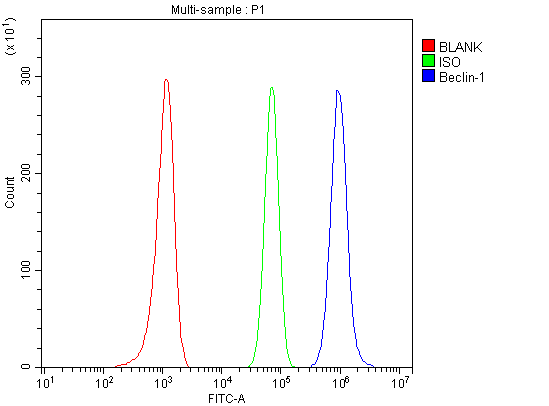 pb9076 beclin 1 primary antibodies fcm testing 3