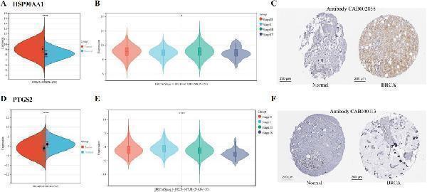 pb9089 fphar 15 1434812 g004