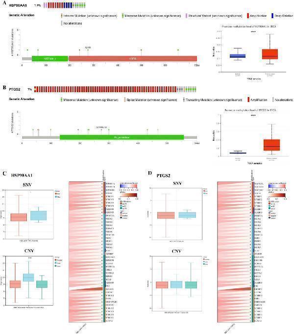 pb9089 fphar 15 1434812 g005