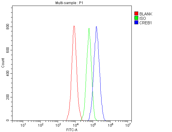 pb9100 creb1 primary antibodies fcm testing 1