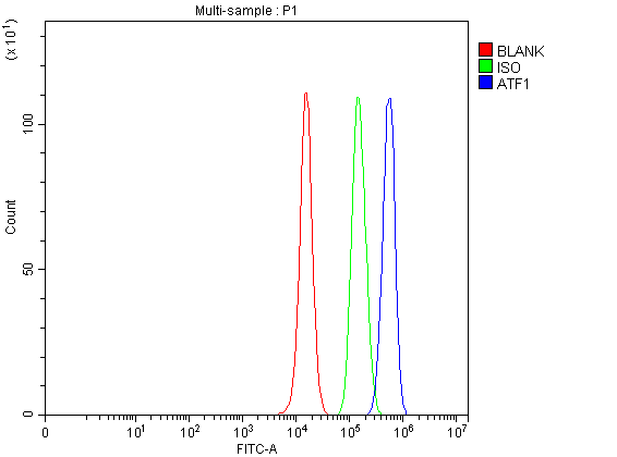 pb9130 atf1 primary antibodies fcm testing 1
