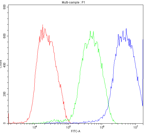 pb9131 atf2 primary antibodies fc testing 8_1