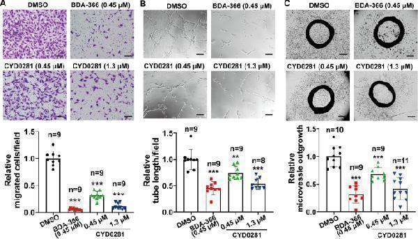 pb9132 12885_2023_10974_fig3_html
