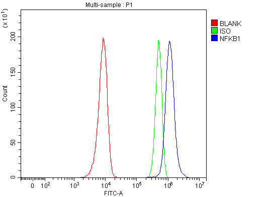  Flow Cytometry analysis of Hela cells using anti-NFkB p105/p50/NFKB1 antibody (PB9149)