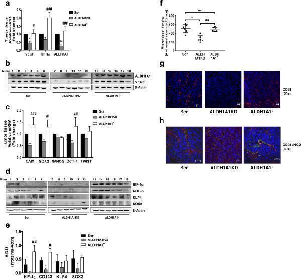 pb9156 13046_2018_975_fig6_html