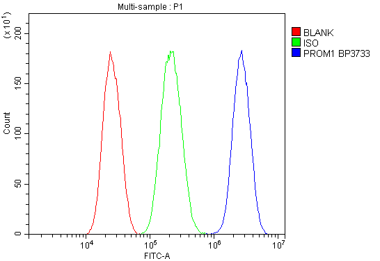 pb9156 prom1 primary antibodies fcm testing 4