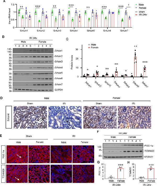 pb9159 41420_2023_1432_fig2_html