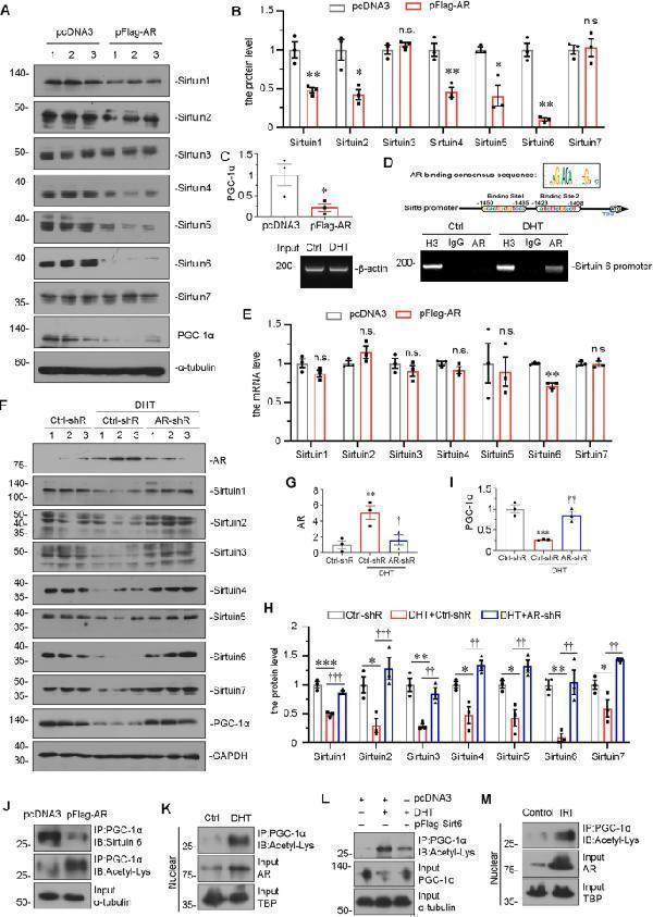 pb9159 41420_2023_1432_fig7_html