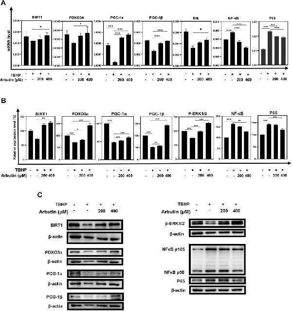 pb9196 fgene 13 922807 g004