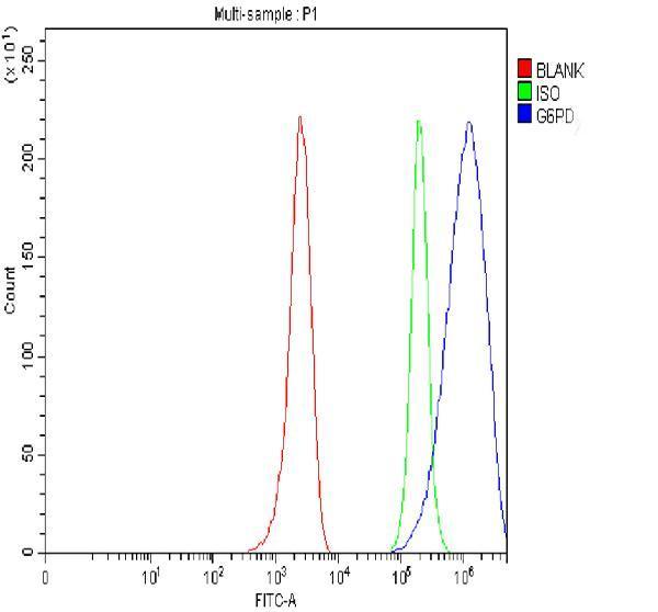 pb9198 g6pd primary antibodies fcm testing 1