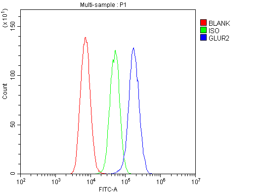 Figure 5. Flow Cytometry analysis of U-87MG cells using anti-GRIA2 antibody (PB9205). Overlay histogram showing U-87MG cells stained with PB9205 (Blue line).The cells were blocked with 10% normal goat serum. And then incubated with rabbit anti-GRIA2 Antibody (PB9205,1microg/1x106 cells) for 30 min at 20°C. DyLight?488 conjugated goat anti-rabbit IgG (BA1127, 5-10microg/1x106 cells) was used as secondary antibody for 30 minutes at 20°C. Isotype control antibody (Green line) was rabbit IgG (1microg/1x106) used under the same conditions. Unlabelled sample (Red line) was also used as a control. Figure 5. Flow Cytometry analysis of U-87MG cells using anti-GRIA2 antibody (PB9205). Overlay histogram showing U-87MG cells stained with PB9205 (Blue line).The cells were blocked with 10% normal goat serum. And then incubated with rabbit anti-GRIA2 Antibody (PB9205,1microg/1x106 cells) for 30 min at 20°C. DyLight?488 conjugated goat anti-rabbit IgG (BA1127, 5-10microg/1x106 cells) was used as secondary antibody for 30 minutes at 20°C. Isotype control antibody (Green line) was rabbit IgG (1microg/1x106) used under the same conditions. Unlabelled sample (Red line) was also used as a control.