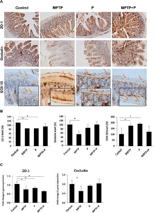 pb9234 41598_2024_65061_fig5_html